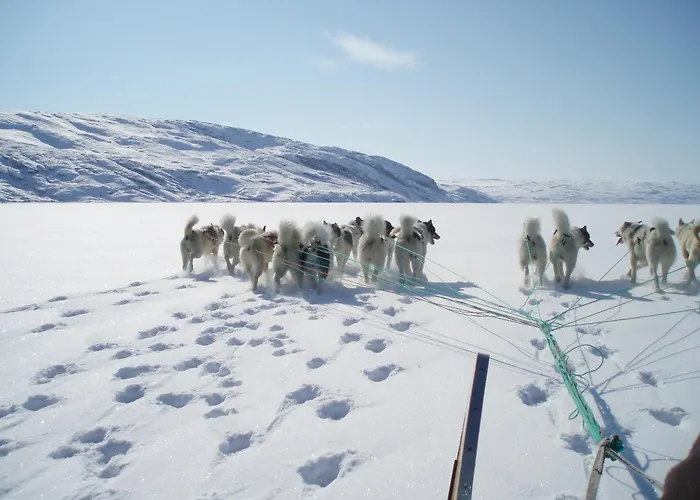 Hotel Icefiord